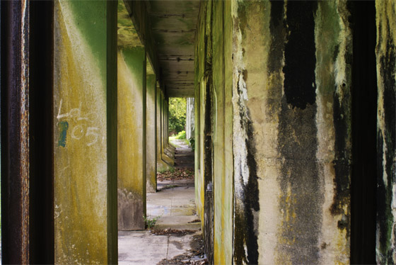 Under the Brooklyn Queens Expressway (BQE)